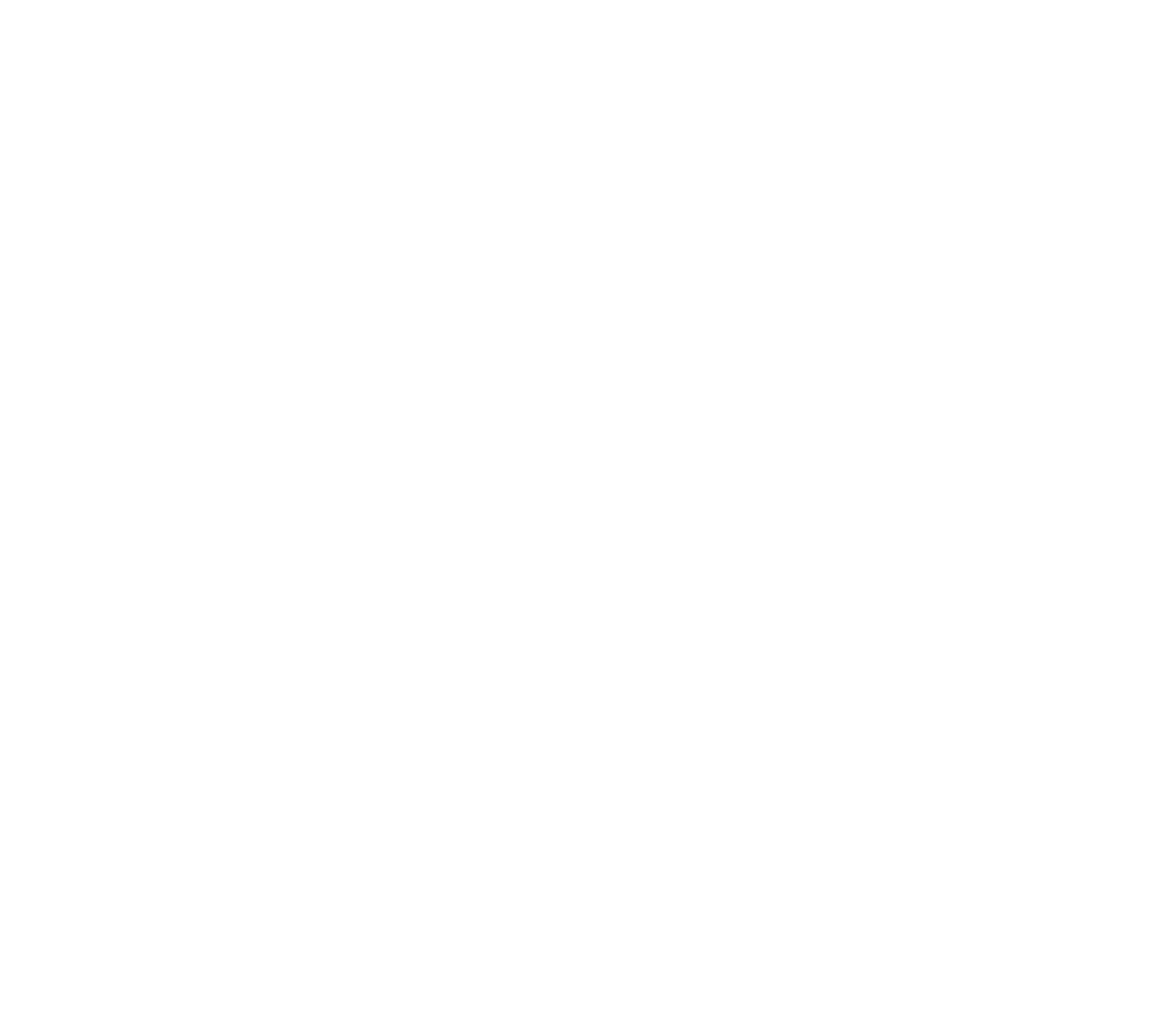 SEVIER COUNTY_SEVIER LOGO WHITE